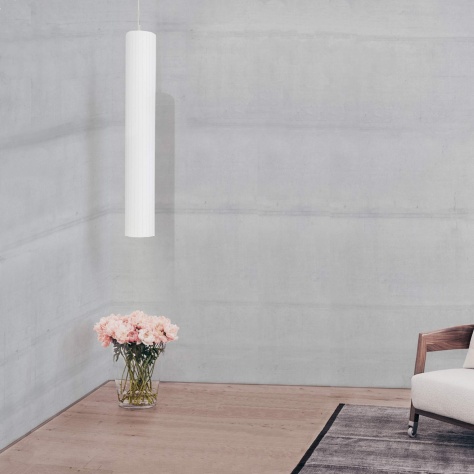 Afbeelding voor Aktivist